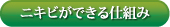 ニキビができる仕組み